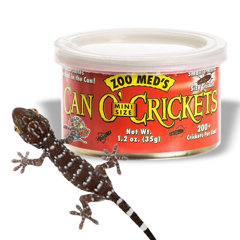 Zoomed Can O' Crickets Small - canned food with small crickets